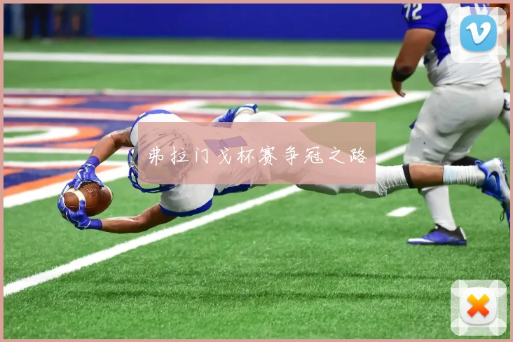 弗拉门戈杯赛争冠之路