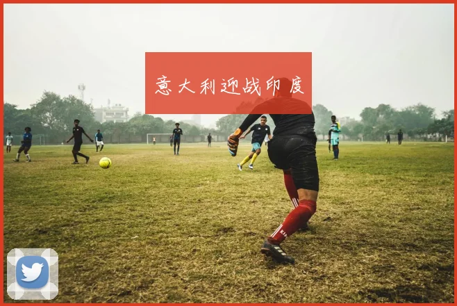 意大利迎战印度